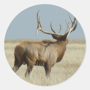 E20 Bull Elk Challenger Runder Aufkleber