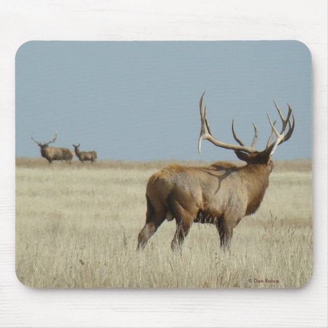 E20 Stier Elch-Herausforderer Mousepad (Vorne)