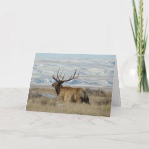 E22 Bull Elk und schneebedeckte Hügel Karte