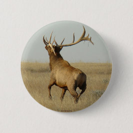 E23 Bullgras in Hörnern Button