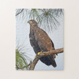 E23 SWFL Eagle Cam Puzzle