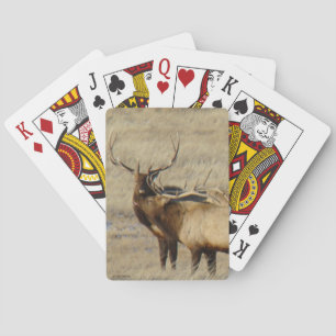 E24 Bull-Elch Spielkarten