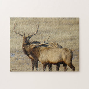 E24 Bull Elk Puzzle