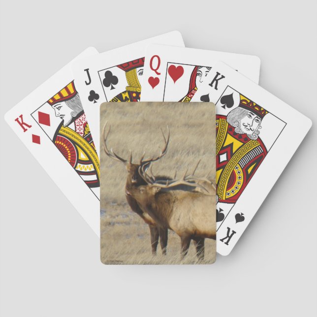 E24 Bull Elk Spielkarten (Rückseite)
