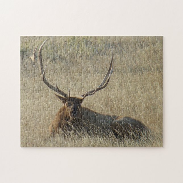E25 Bullklee im Gras Puzzle (Horizontal)