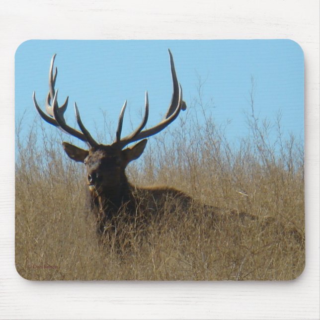 E26 Bullletin im Unkraut Mousepad (Vorne)