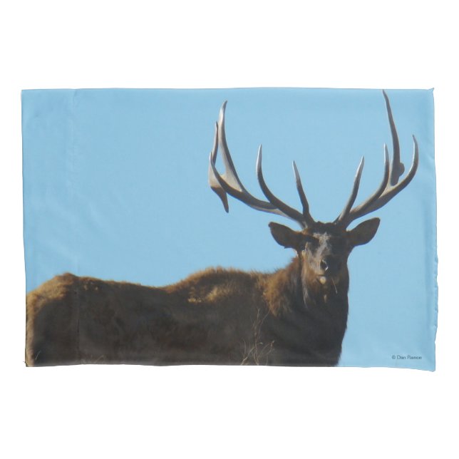 E27 Bull Elk Sky Lined Kissenbezug (Vorderseite)