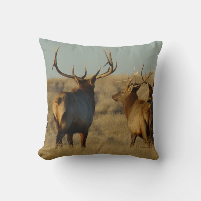 E28 Bull Elk Kissen (Vorderseite)
