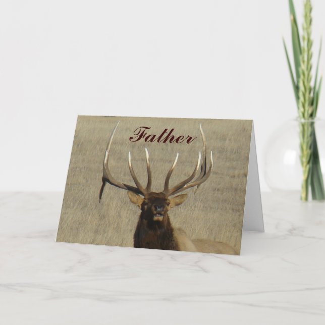 E29 Bull Elk Head Karte (Vorderseite)