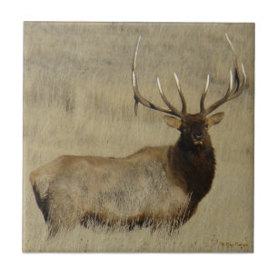 E30 Bull-Elch Großer Bulle Fliese