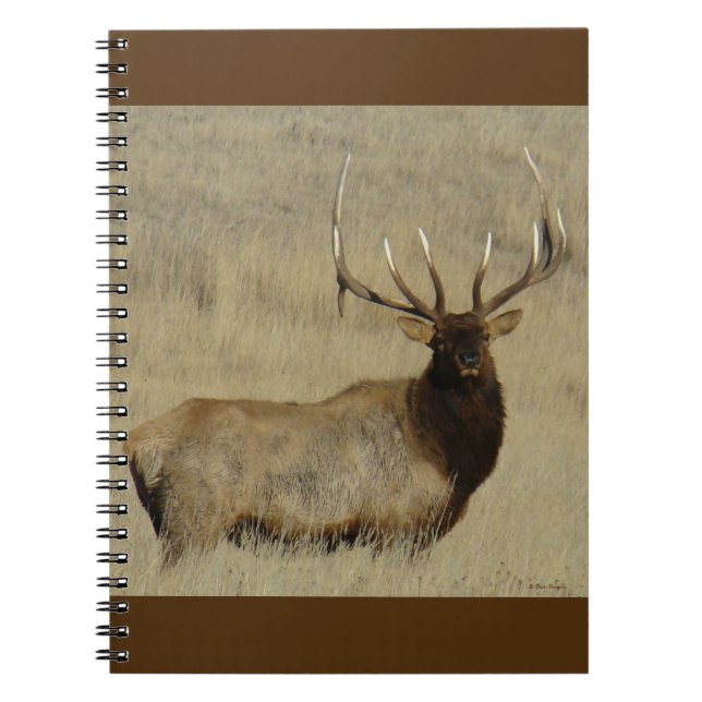 E30 Bull Elk Big Bull Notizblock (Vorderseite)
