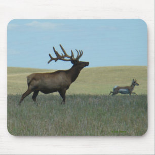 E34 Bull Elk and Antelope Mousepad