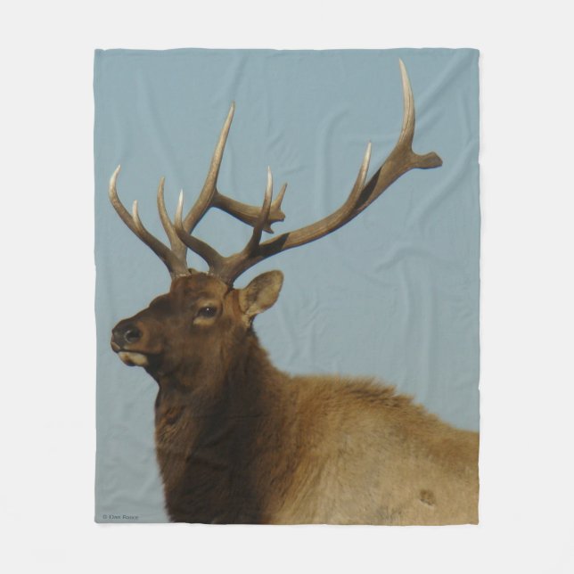 E42 Bull Elk Head and Shoulders Fleecedecke (Vorderseite)