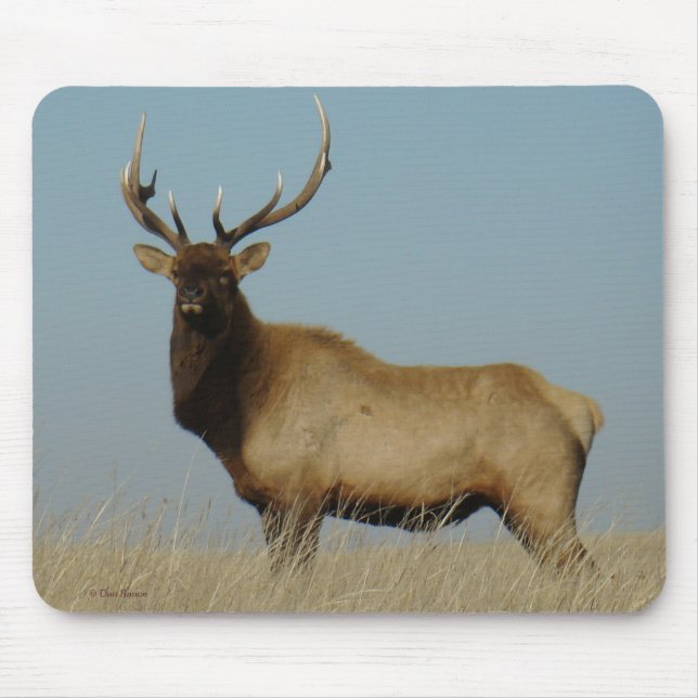 E43 Stier Elche Mousepad (Vorne)