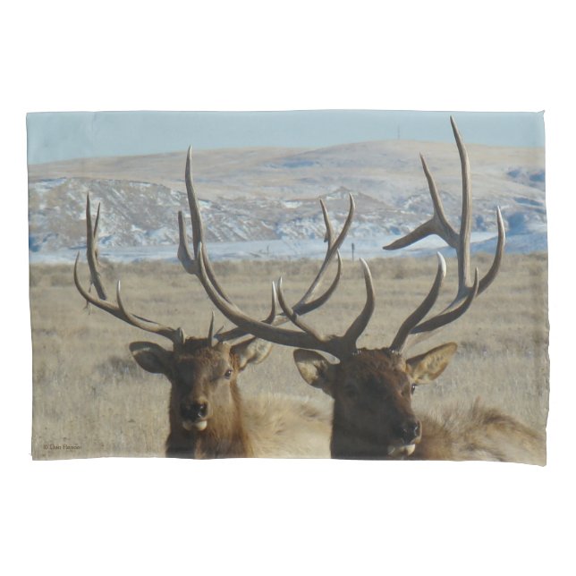 E45 Bull Elk Double Head Shot Kissenbezug (Vorderseite)