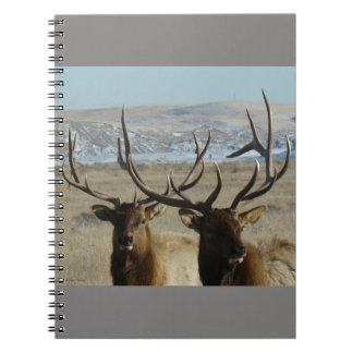 E45 Bull Elk Heads Notizblock