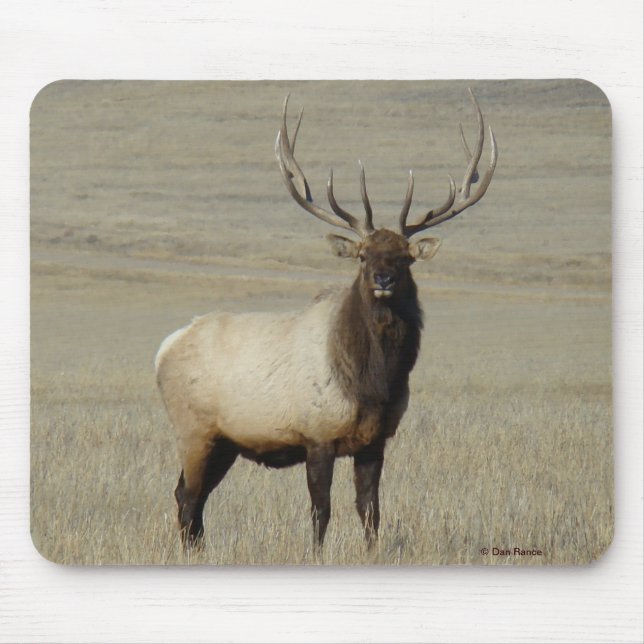 E46 Bull Elk Big Bull Mousepad (Vorne)