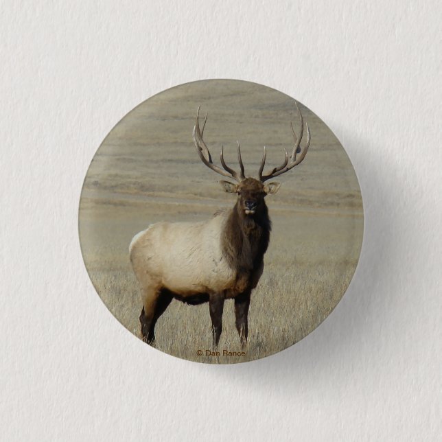 E46 Bull Elk Großer Bulle Button (Vorderseite)