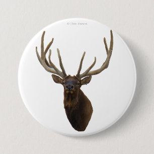 E48 Wapiti-Bullen-Schädel in Samt Button