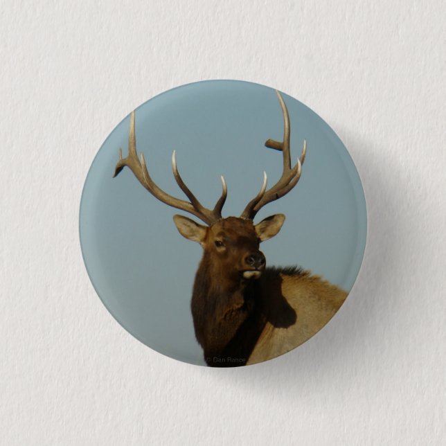 E49 Bull Elk Button (Vorderseite)