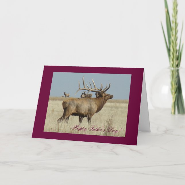 E4 Bull Elk Huge Bull Karte (Vorderseite)