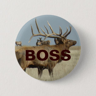 E4 Bullenelch Button