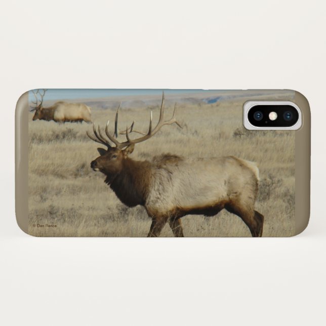 E55 Bull Elk Big Bull Case-Mate iPhone Hülle (Rückseite (Horizontal))
