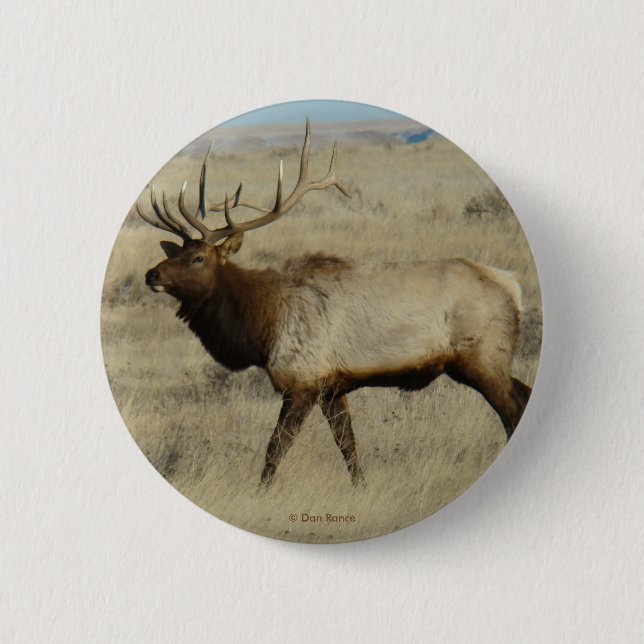 E55 Bull Elk Button (Vorderseite)