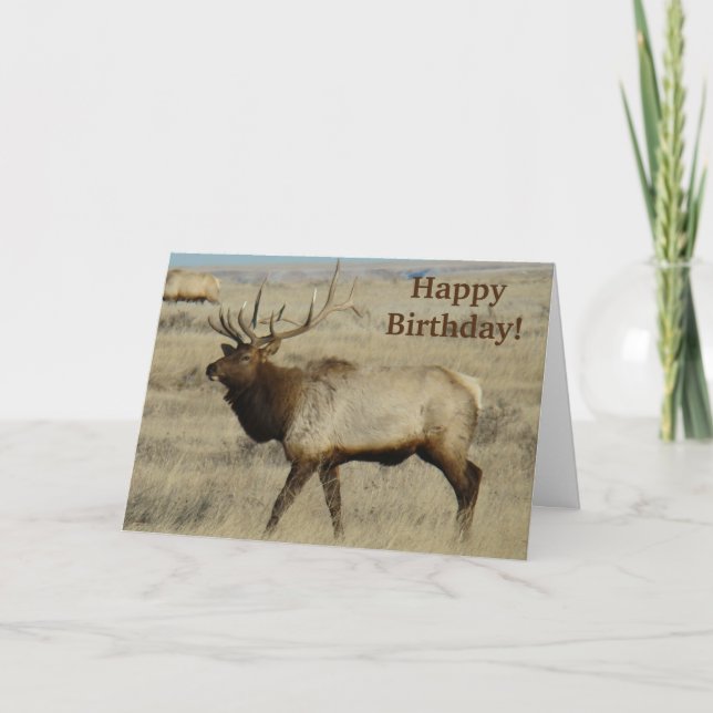 E55 Bull Elk Karte (Vorderseite)
