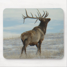 E58 Bull Elk Lucky 13 Bull Mousepad
