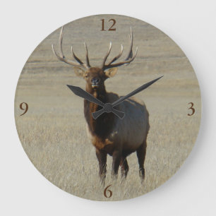 E59 Bull-Elch Großer Bulle Große Wanduhr