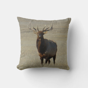 E59 Bull-Elch Kissen