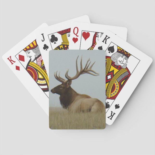 E5 Big Bull Elk Boss Bull Spielkarten (Rückseite)