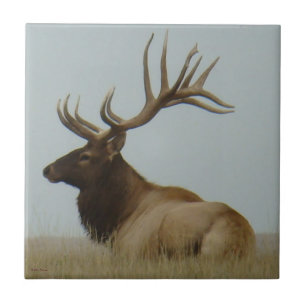 E5 Bull-Elch Riesiger Bulle Fliese