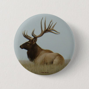 E5 Bull Elk Großer Bulle Button