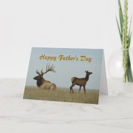 E5 Bull Elk und Yearling Karte