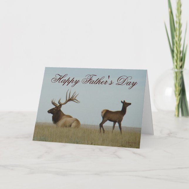 E5 Bull Elk und Yearling Karte (Vorderseite)