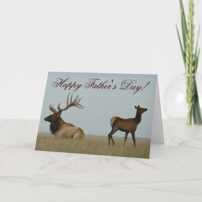 E5 Bull Elk und Yearling Karte (Vorderseite)