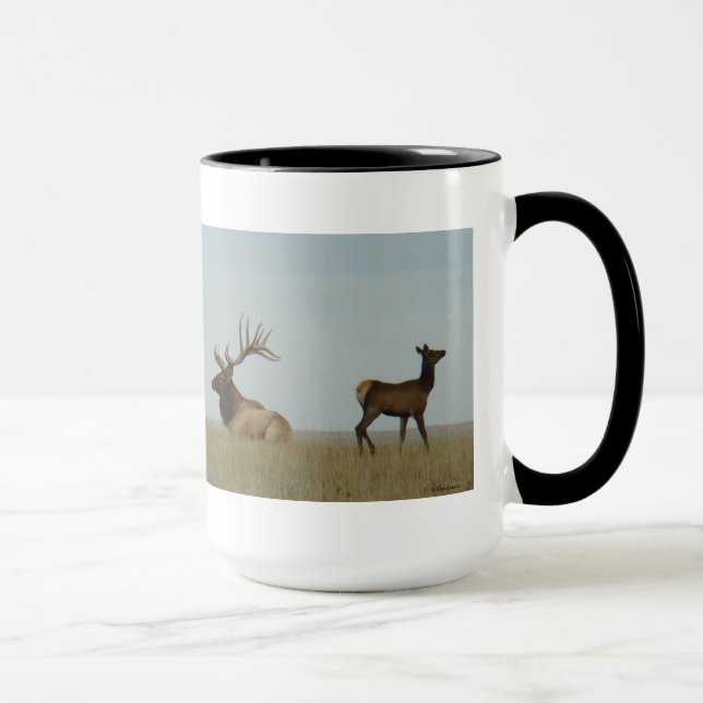 E5 Bull Elk und Yearling Tasse (Rechts)
