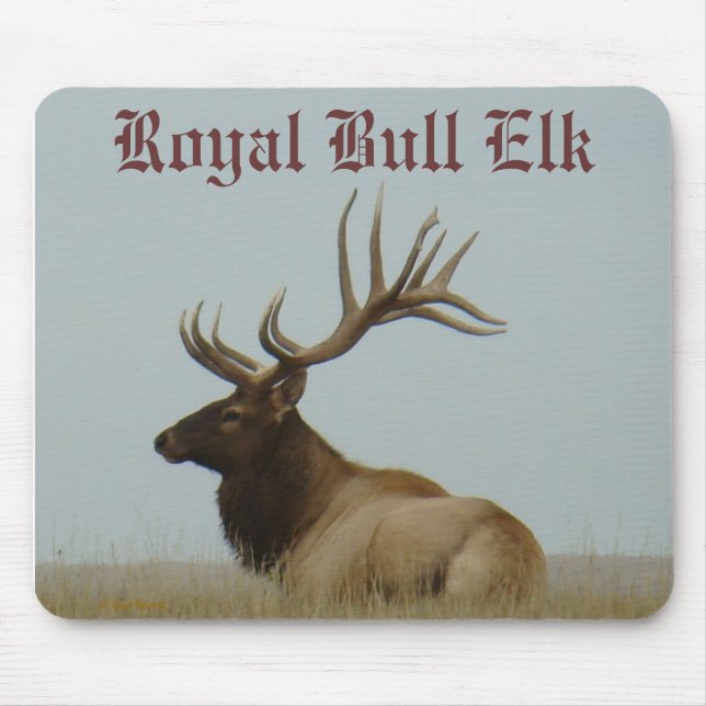 E5a Stier Elche enormer Stier Mousepad (Vorne)