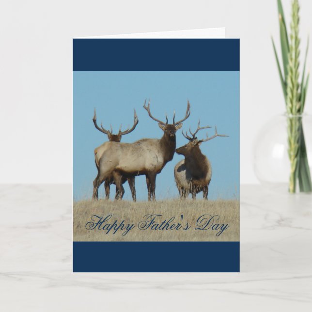 E60 Bull Elk Sky Lined Karte (Vorderseite)