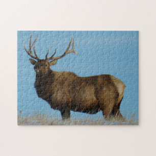 E62 Bull Elk am Himmel umrissen Rätsel. Puzzle