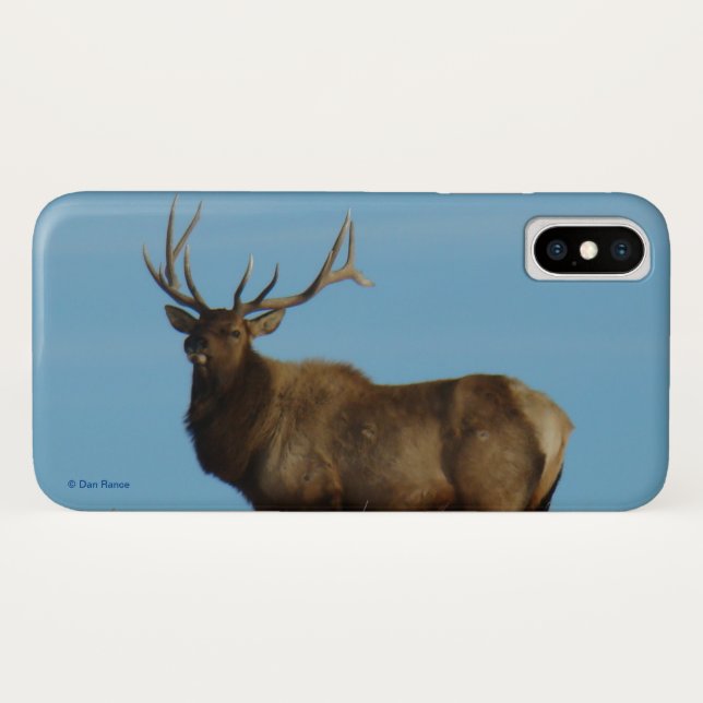 E62 Bull Elk Sky Lined Case-Mate iPhone Hülle (Rückseite (Horizontal))