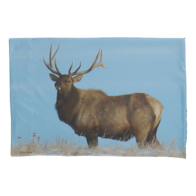 E62 Bull Elk Sky Lined Kissenbezug (Vorderseite)