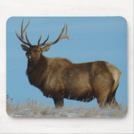 E62 Bull Elk Sky Lined Mousepad