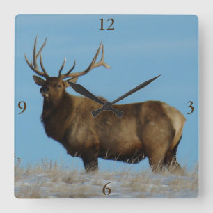 E62 Bull Elk Sky Lined Quadratische Wanduhr