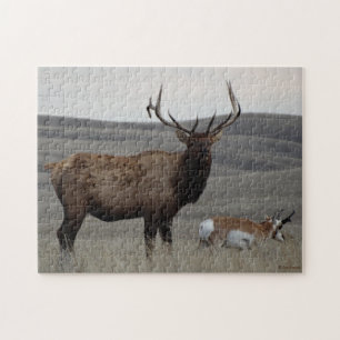 E63 Bull Elk and Pronghorn Antelope Puzzle