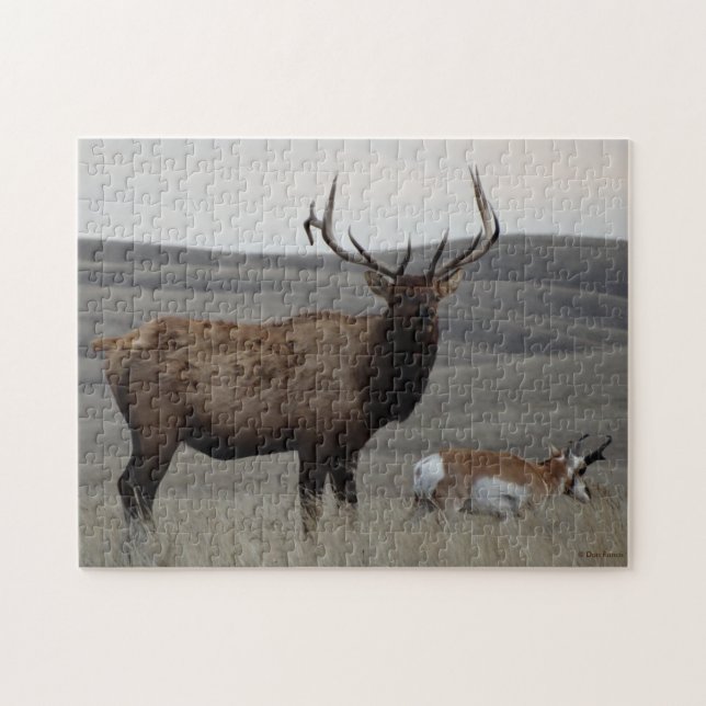 E63 Bull Elk and Pronghorn Antelope Puzzle (Horizontal)