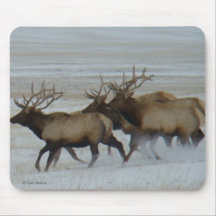 E64 Bull-Elch läuft im Schnee Mousepad