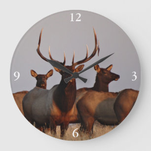 E66 Bull Elk and Cows Große Wanduhr